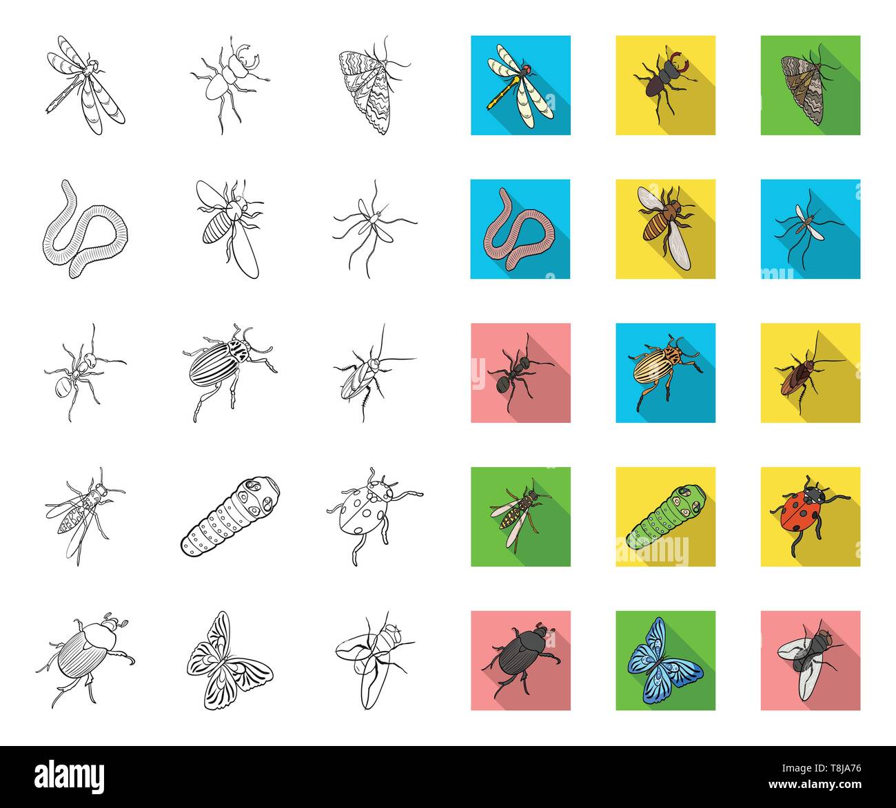 Different kinds of insects outline,flat icons in set collection for ...