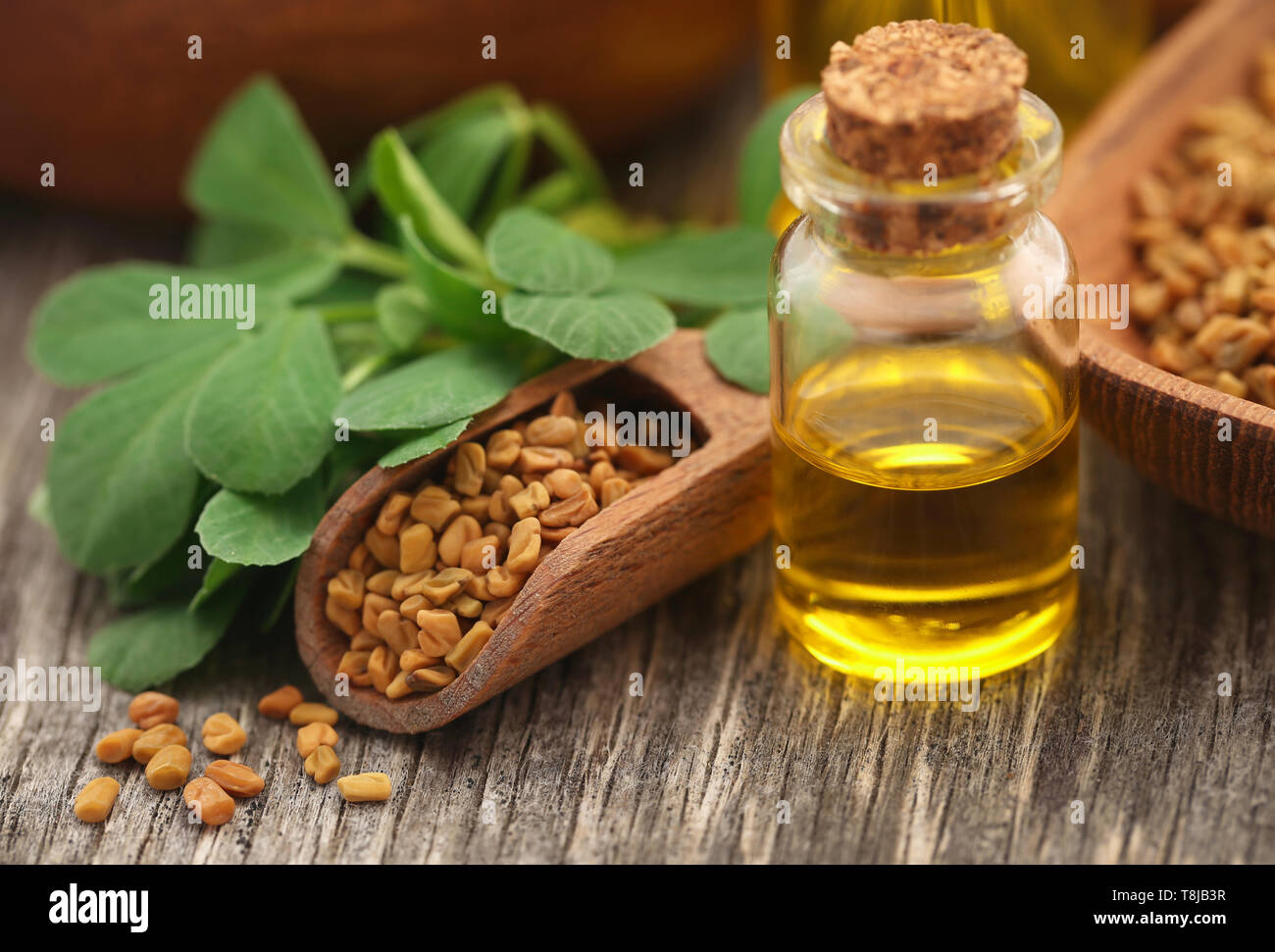 Fenugreek seeds with oil in bottle on wooden background Stock Photo