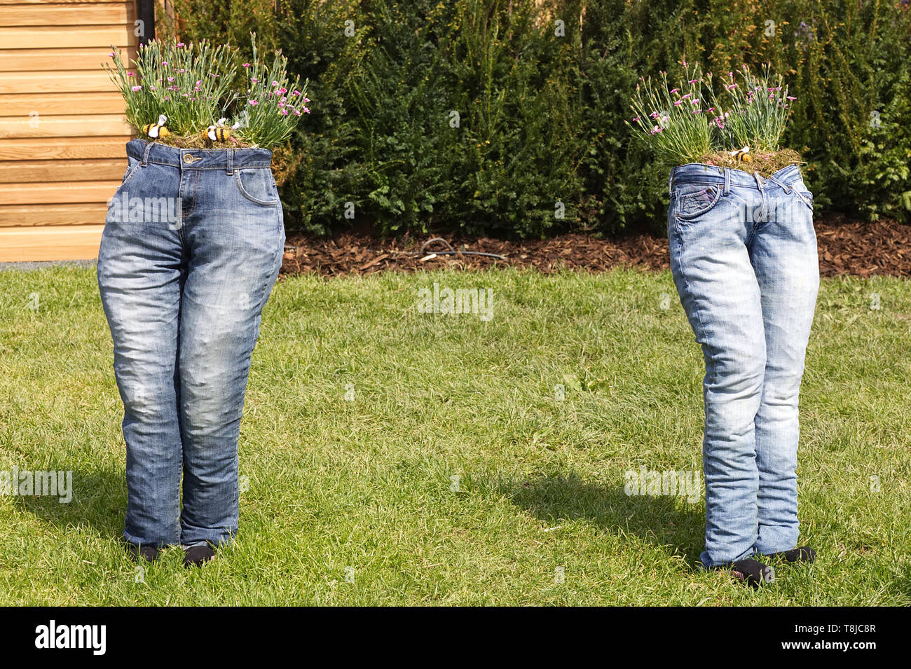 Denim jean planters Stock Photo - Alamy