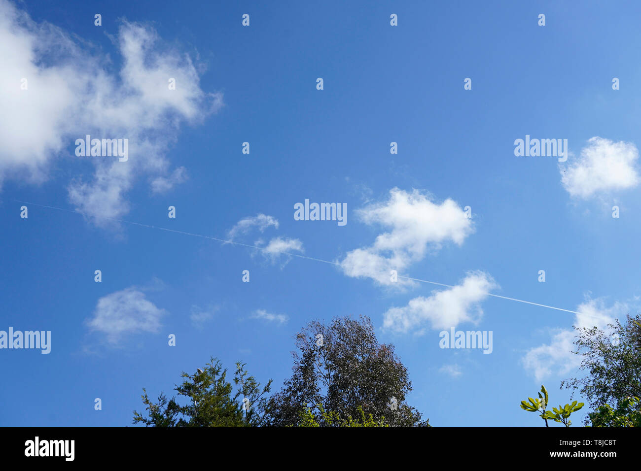 Blue sky with white clouds and trees Stock Photo - Alamy