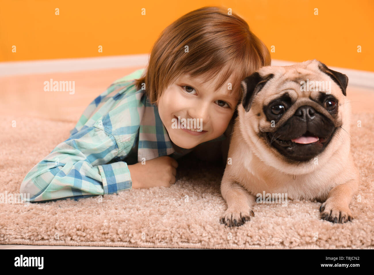 Little boy lying with cute pug dog on floor at home Stock Photo - Alamy