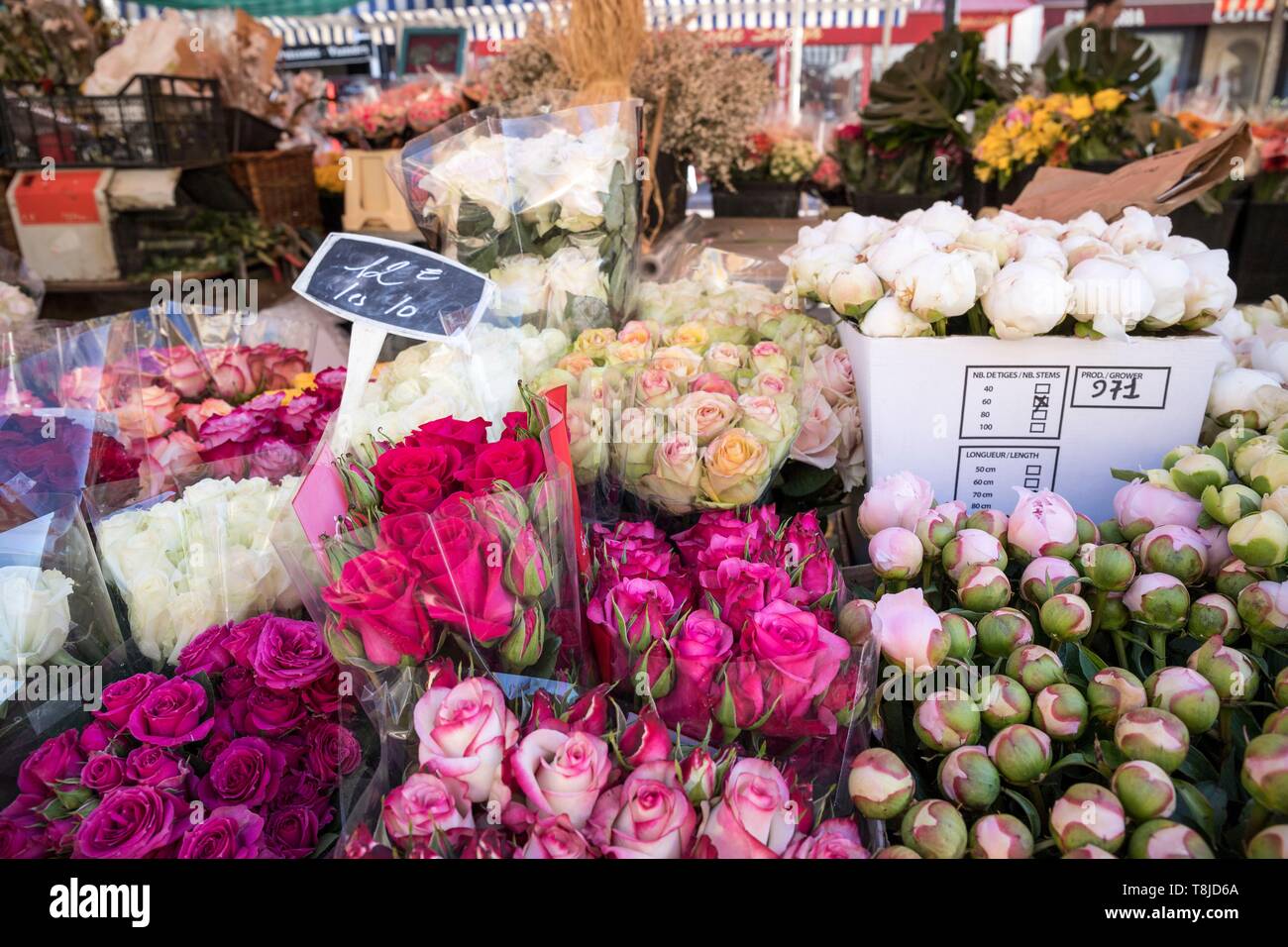 Cours saleya flower market nice france riviera stall hires stock