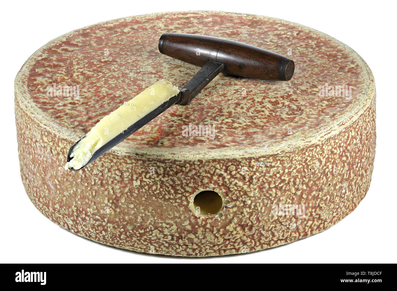 organic hay milk cheese wheel from German Allgäu region with grading ...