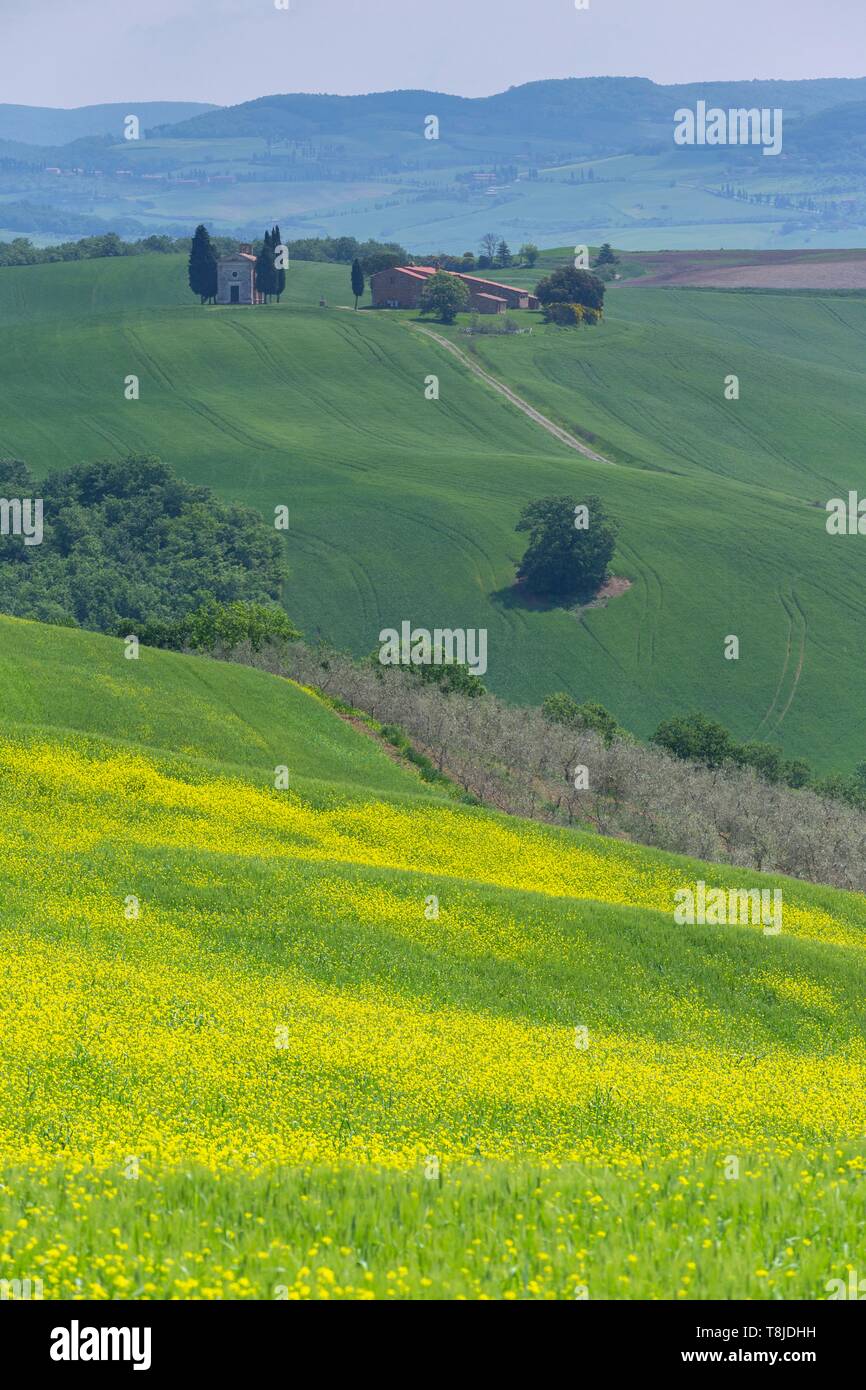 Italy, Tuscany, Siena district, Orcia Valley, listed as World Heritage by UNESCO, hills Stock Photo