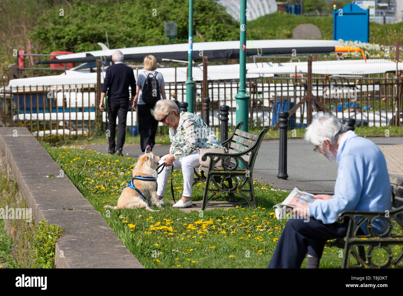 Senior men and women enjoying leisure time on a bright, sunny morning - couple walking, man reading newspaper, woman with dog Stock Photo