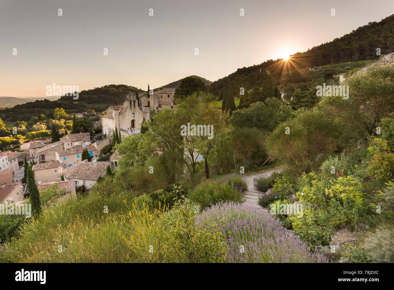 France, Vaucluse, village of Gigondas Stock Photo