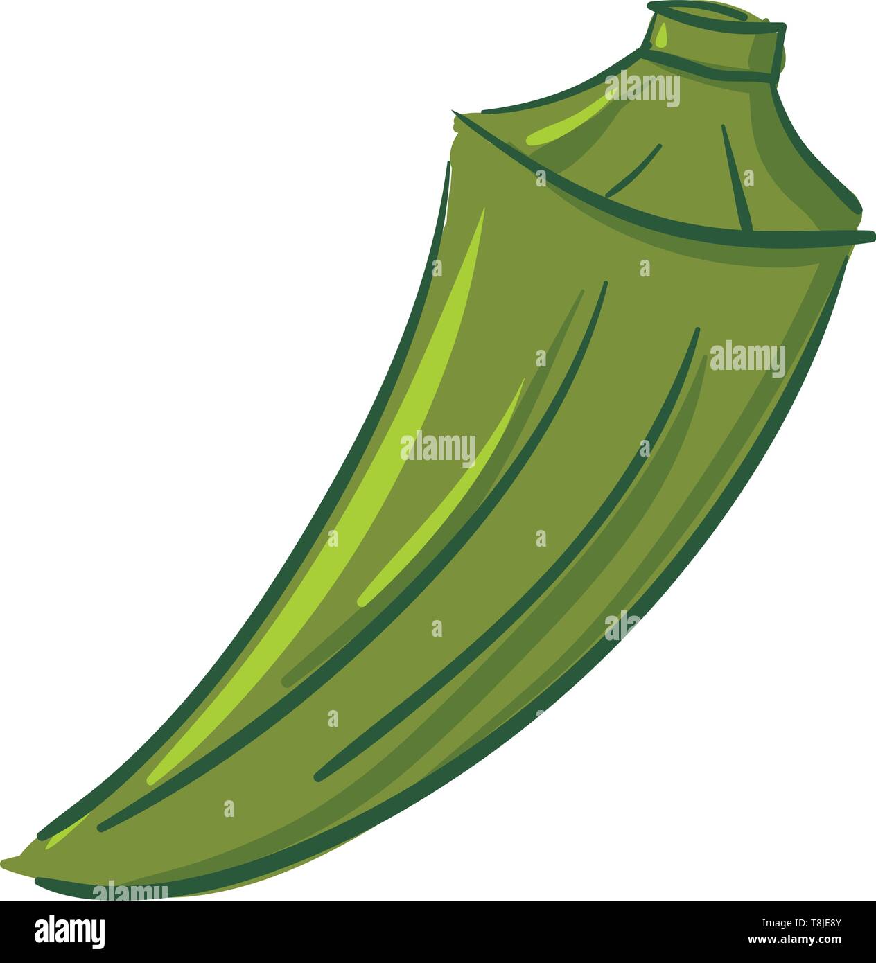 Green okra with short stem, conical shape, healthy tasty meal, vector