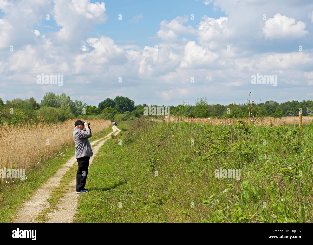 Potteric Carr, a Yorkshire Wildlife Trust nature reserve, near Doncaster, South Yorkshire, England UK Stock Photo