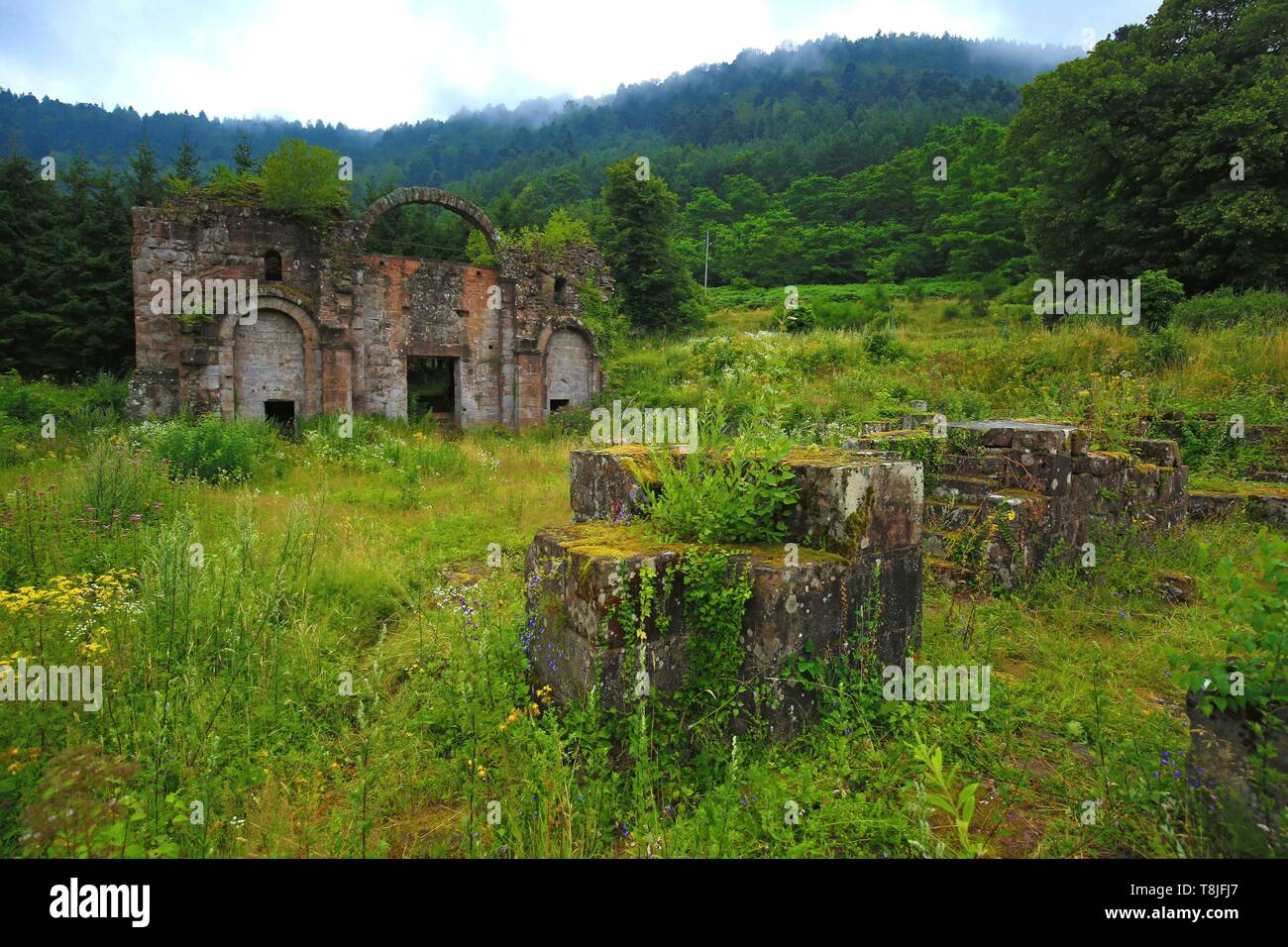 Marie Odile High Resolution Stock Photography And Images Alamy Marie Odile High Resolution Stock Photography And Images Alamy