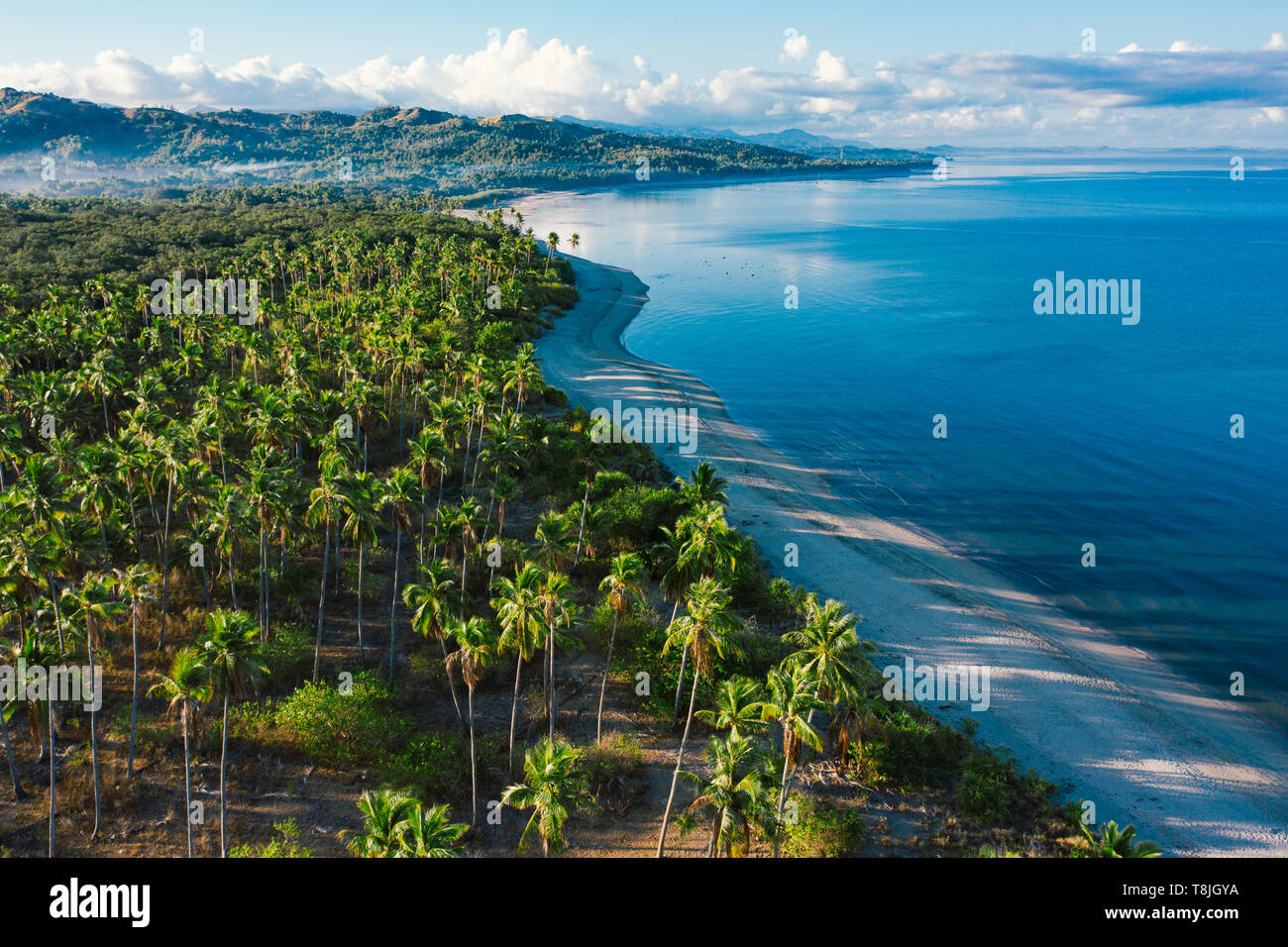 Drone beach palm trees hi-res stock photography and images - Alamy