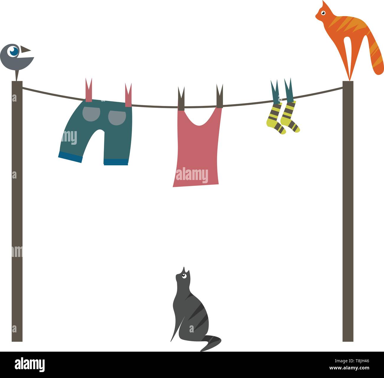 A bird, two cats and laundry, with socks, sando and shorts, vector, color  drawing or illustration Stock Vector Image & Art - Alamy