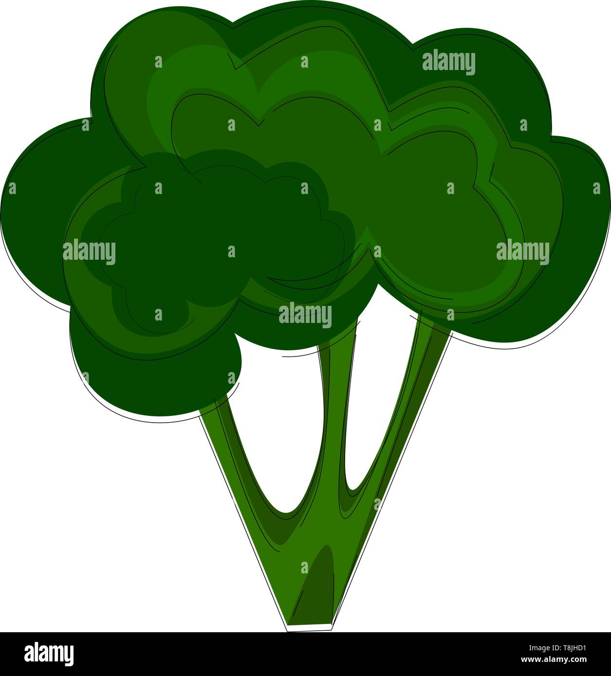 Broccoli drawing hires stock photography and images Alamy