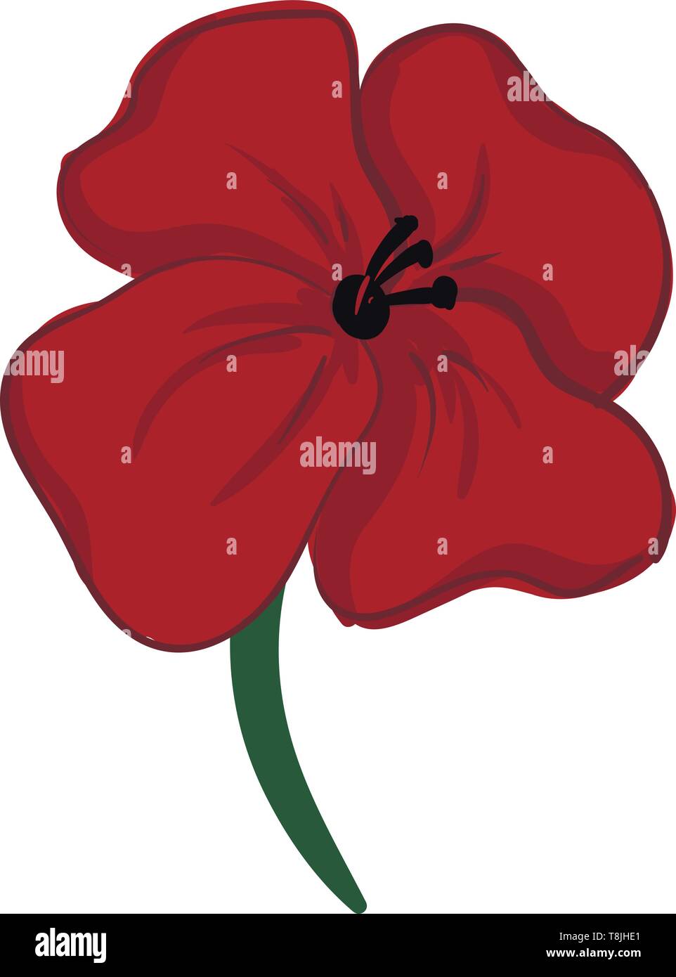 A Painting Of A Red Poppy Flower With Green Stem And Black Pistils Vector Color Drawing Or Illustration Stock Vector Image Art Alamy