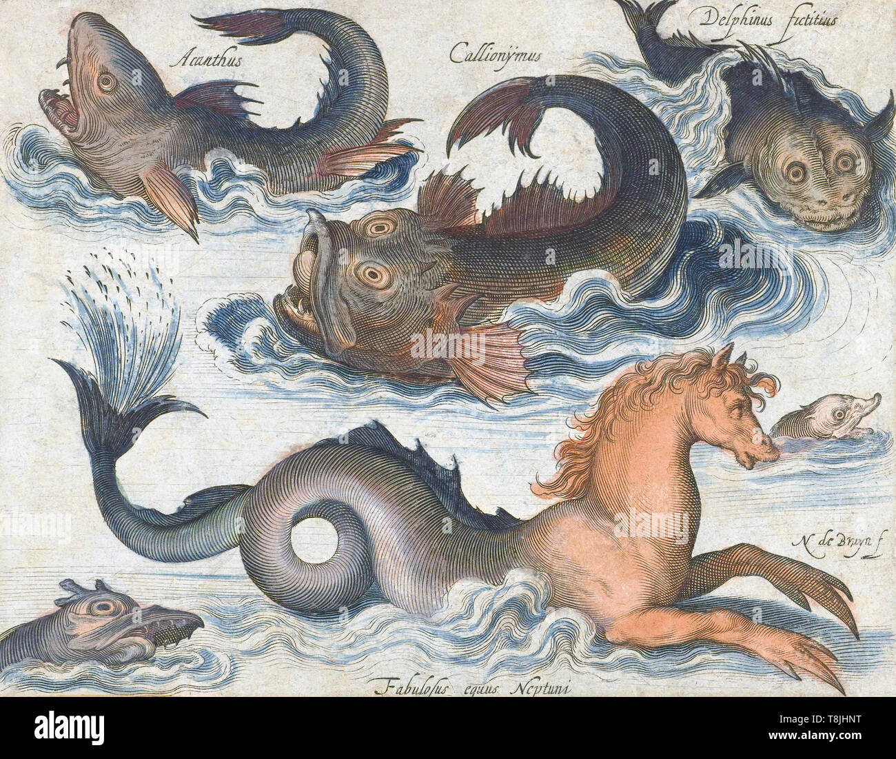 Seahorse and other imaginary sea creatures, after a 17th century engraving by Nicolaes de Bruyn.  Later colourization. Stock Photo