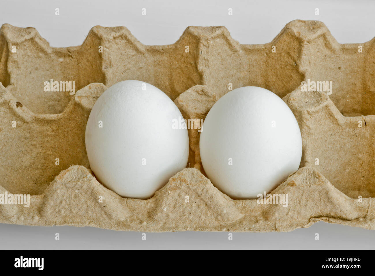 Two white eggs in the package for eggs from the chicken farm. Last egg stocks. Stock Photo