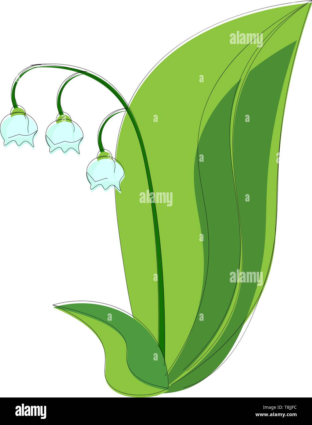 Three light blue lilies hanging from a long stem attached to a big green leaf, vector, color drawing or illustration. Stock Vector