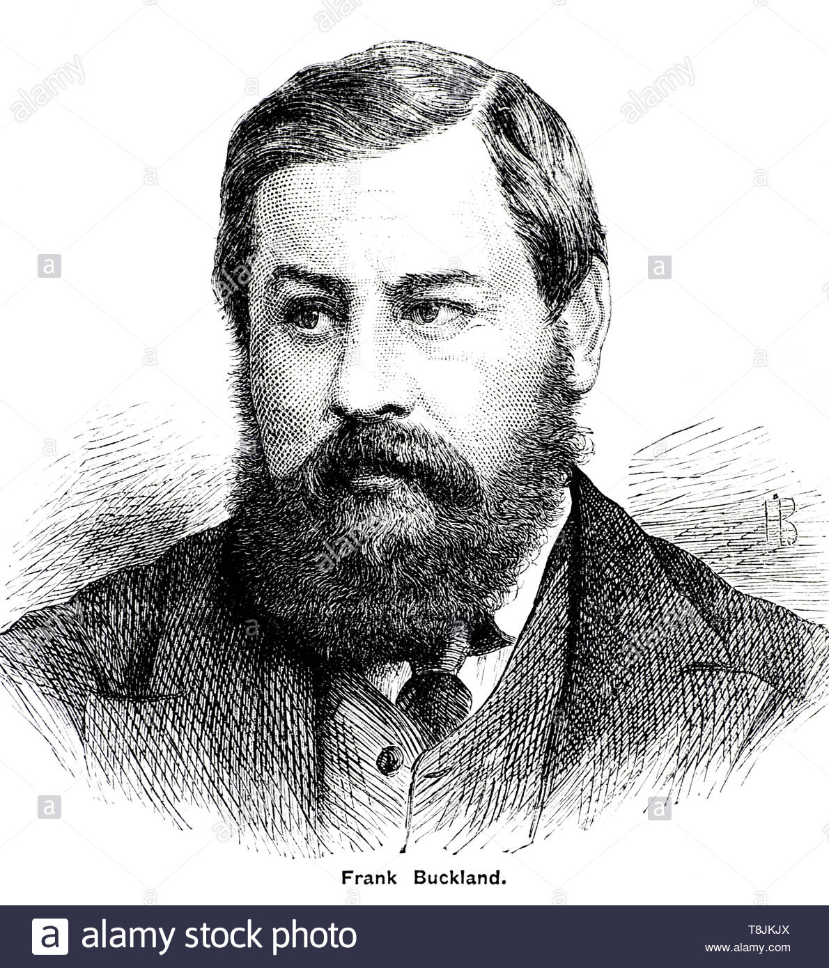 Victorian natural history illustrations uk Cut Out Stock Images