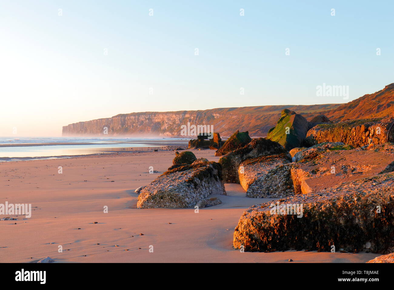 A view of Bempton Cliffs from Reighton Sands in North Yorkshire Stock