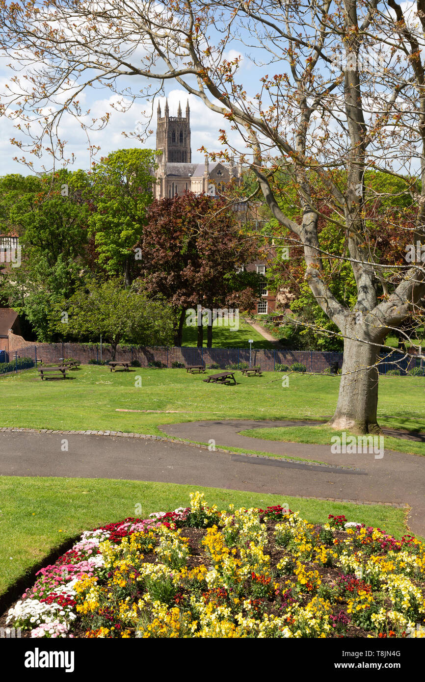 Worcester in spring - Worcester cathedral seen from Fort Royal Park in may; example of English spring; Worcester, Worcestershire UK Stock Photo