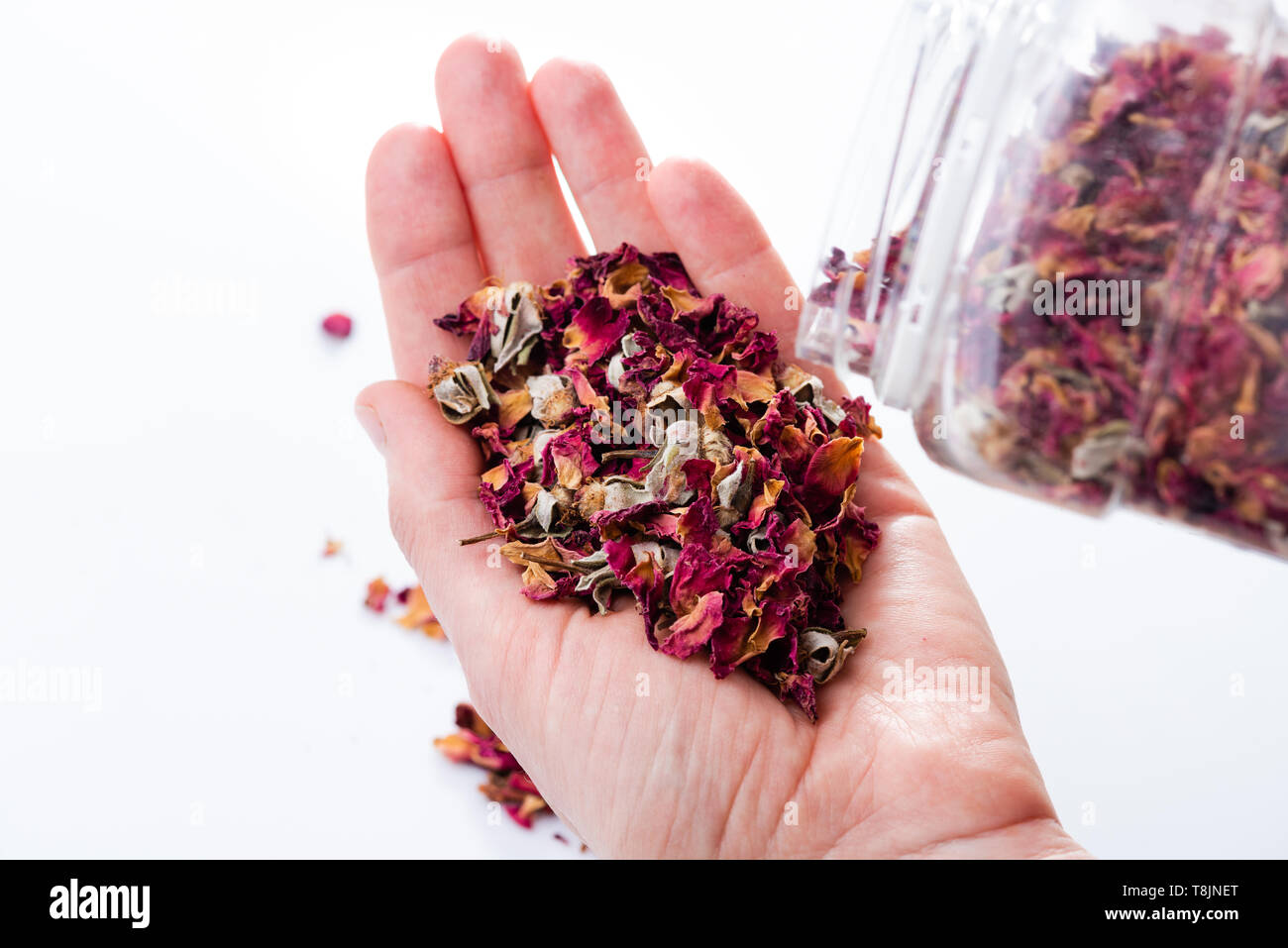 Dried Rose Petals As Herbal Tea Is In Hand Stock Photo, Picture and Royalty  Free Image. Image 98633384.