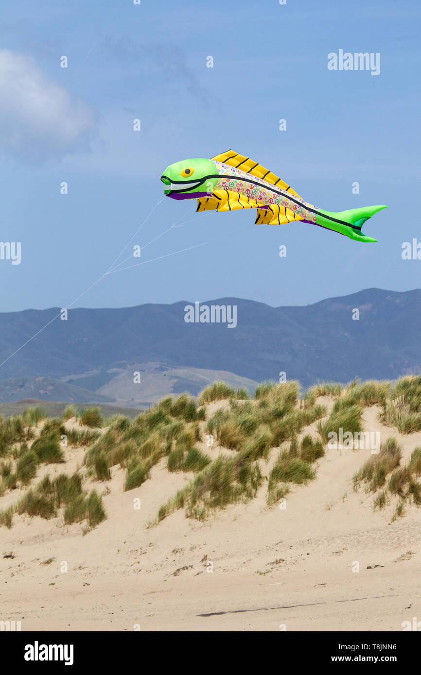 Yellow and green kite in shape of a big fish hires stock photography