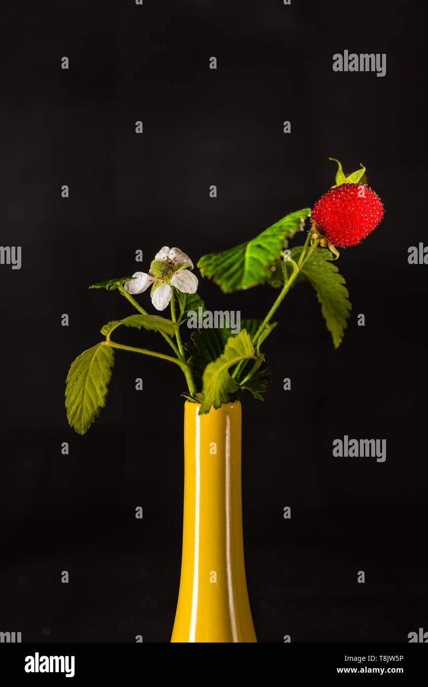 Berry with flower and fruit in a yellow vase Stock Photo
