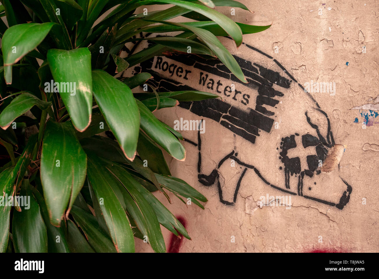 Buenos Aires, Argentina, May 9 2019. Stencil, street art, from a pig referring to the English singer-songwriter Roger Waters Stock Photo