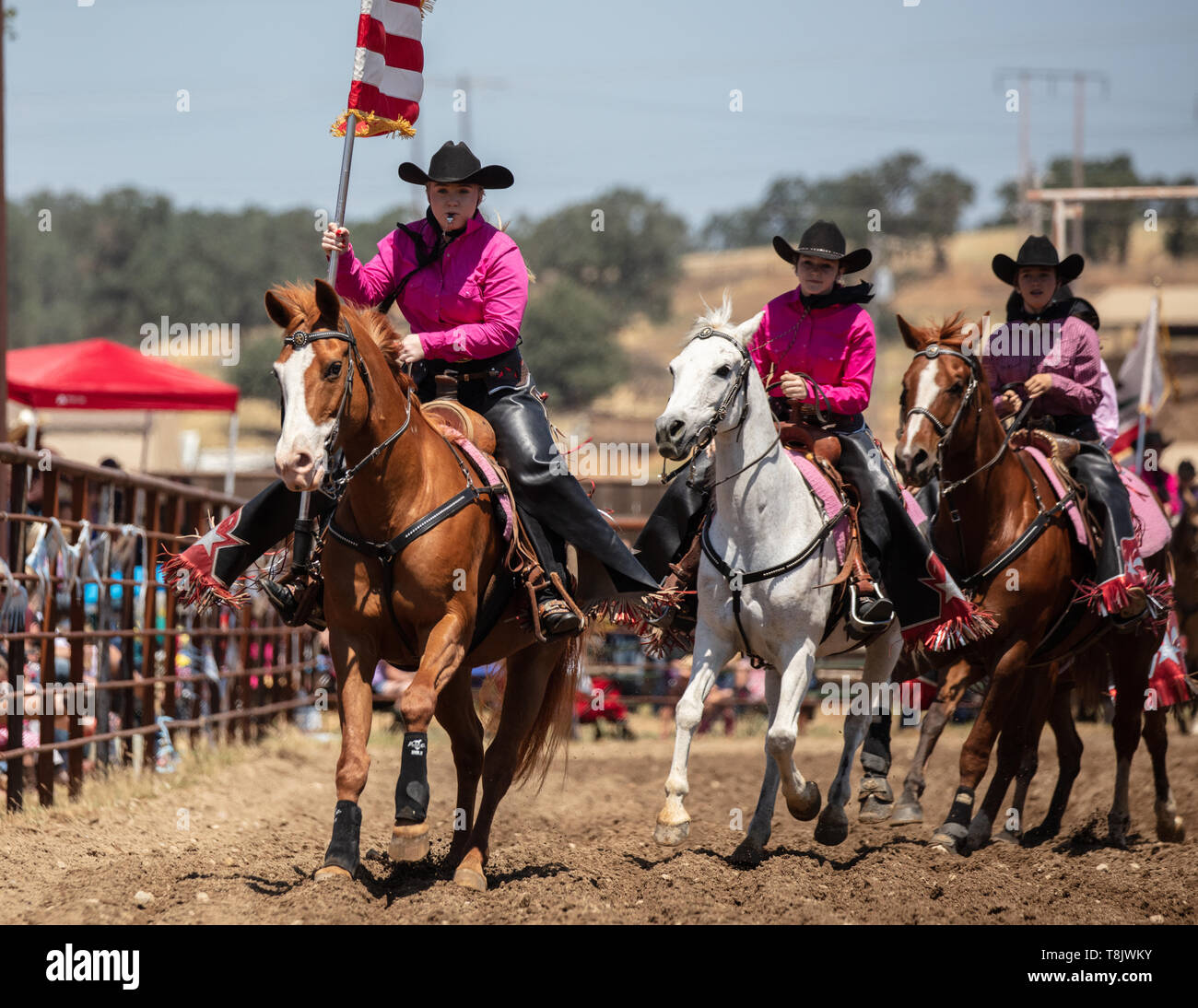 Gatton Rodeo Rodeo arena bulls hi-res stock photography and images - Alamy