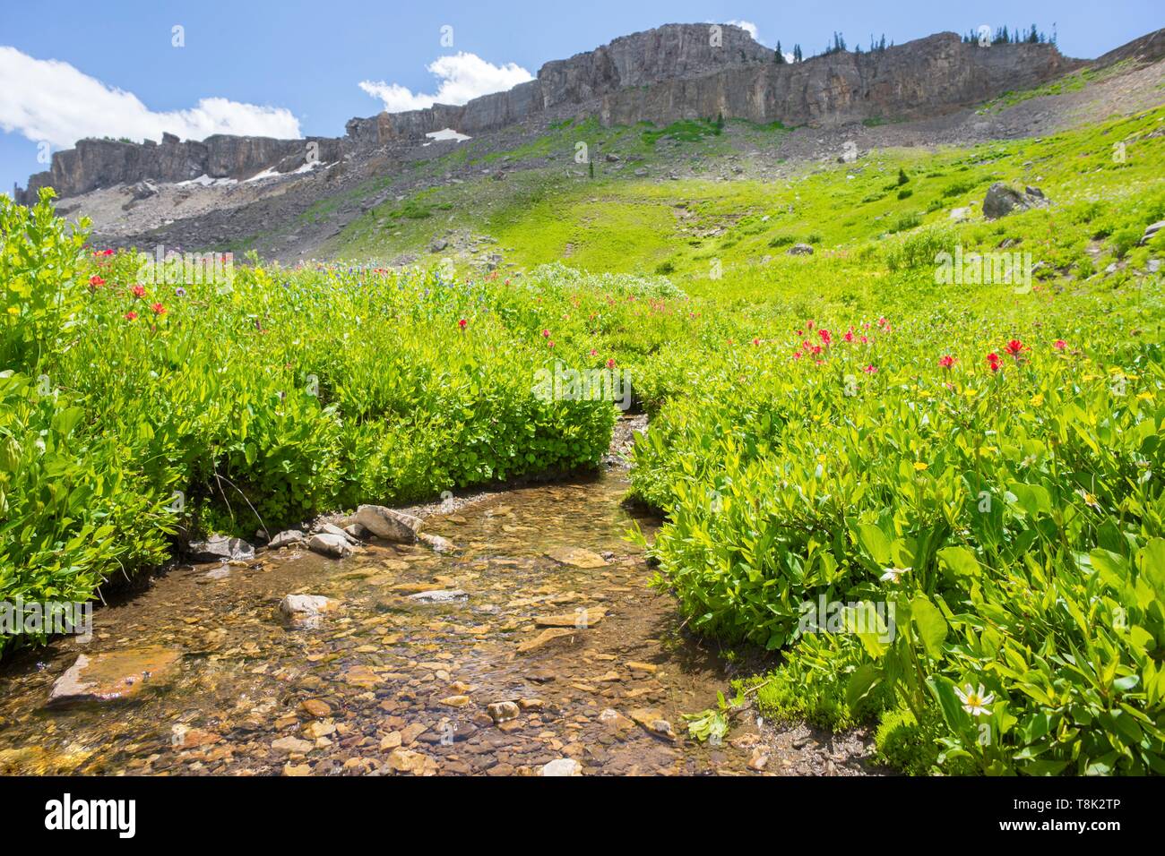 Grand Teton National Park and the Teton Crest Trail. Marion Lake, Fox
