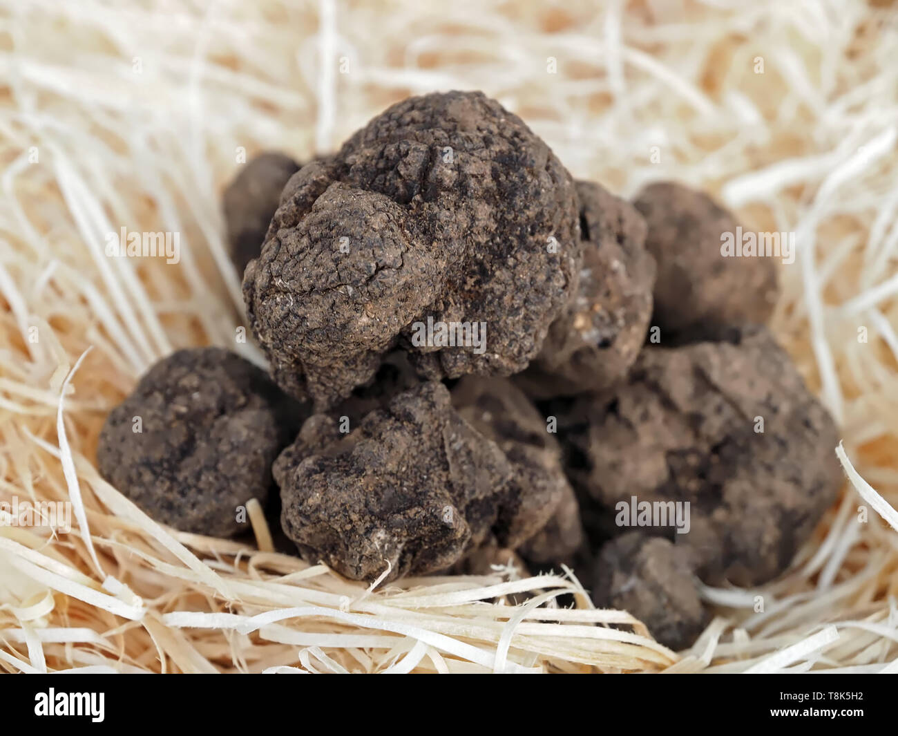 Pile of whole truffle at a food market Stock Photo Alamy