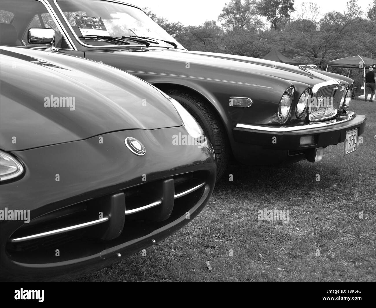 Classic British Spring car show in New Jersey with two Jaguars up close ...