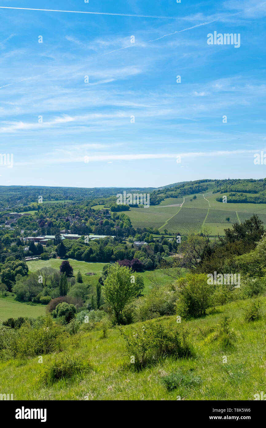 Box Hill, Surrey, England Stock Photo Alamy