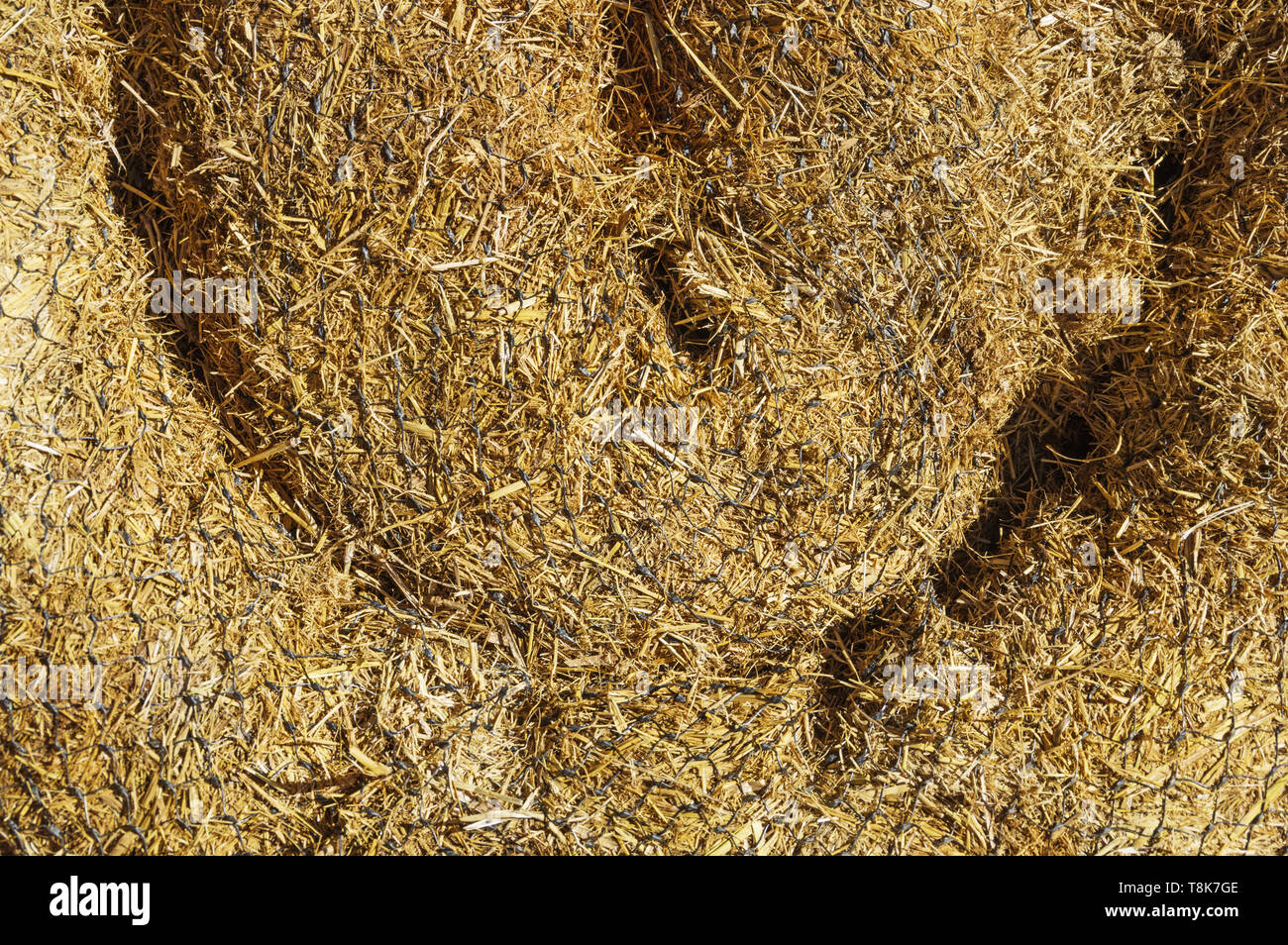 straw wattle coil with netting background Stock Photo