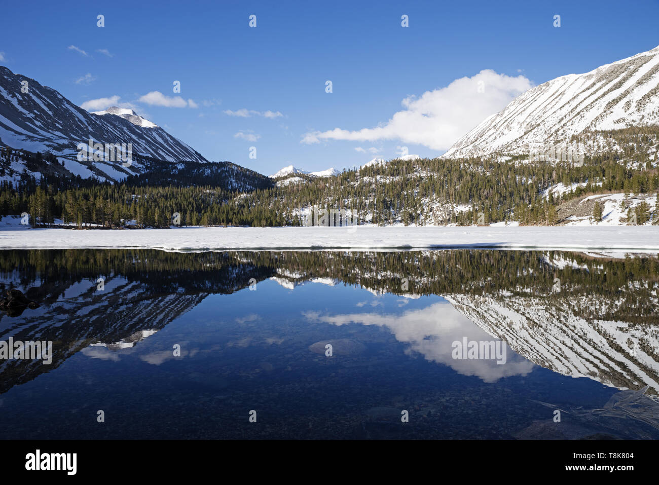 reflection of Little Lakes Valley in Rock Creek Lake on a spring morning with a lot of snow Stock Photo