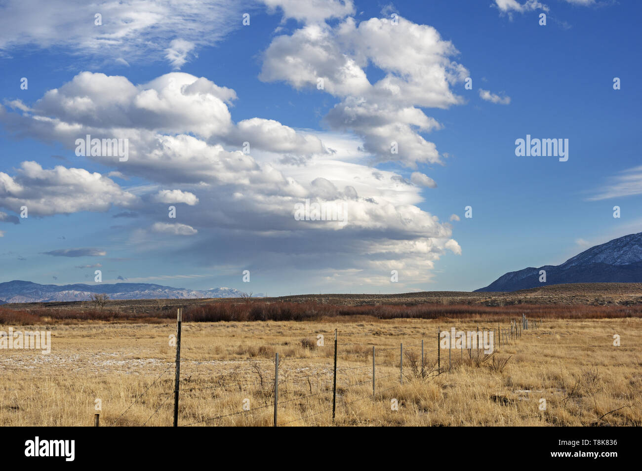 barbed wire fence and wave cloud forming over the Owens Valley near Bishop California Stock Photo