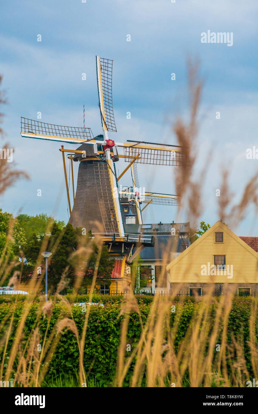 Windmill in Holland converted to a restaurant - tower windmill Netherlands - original working windmill with sails - traditional windmill in Europe Stock Photo