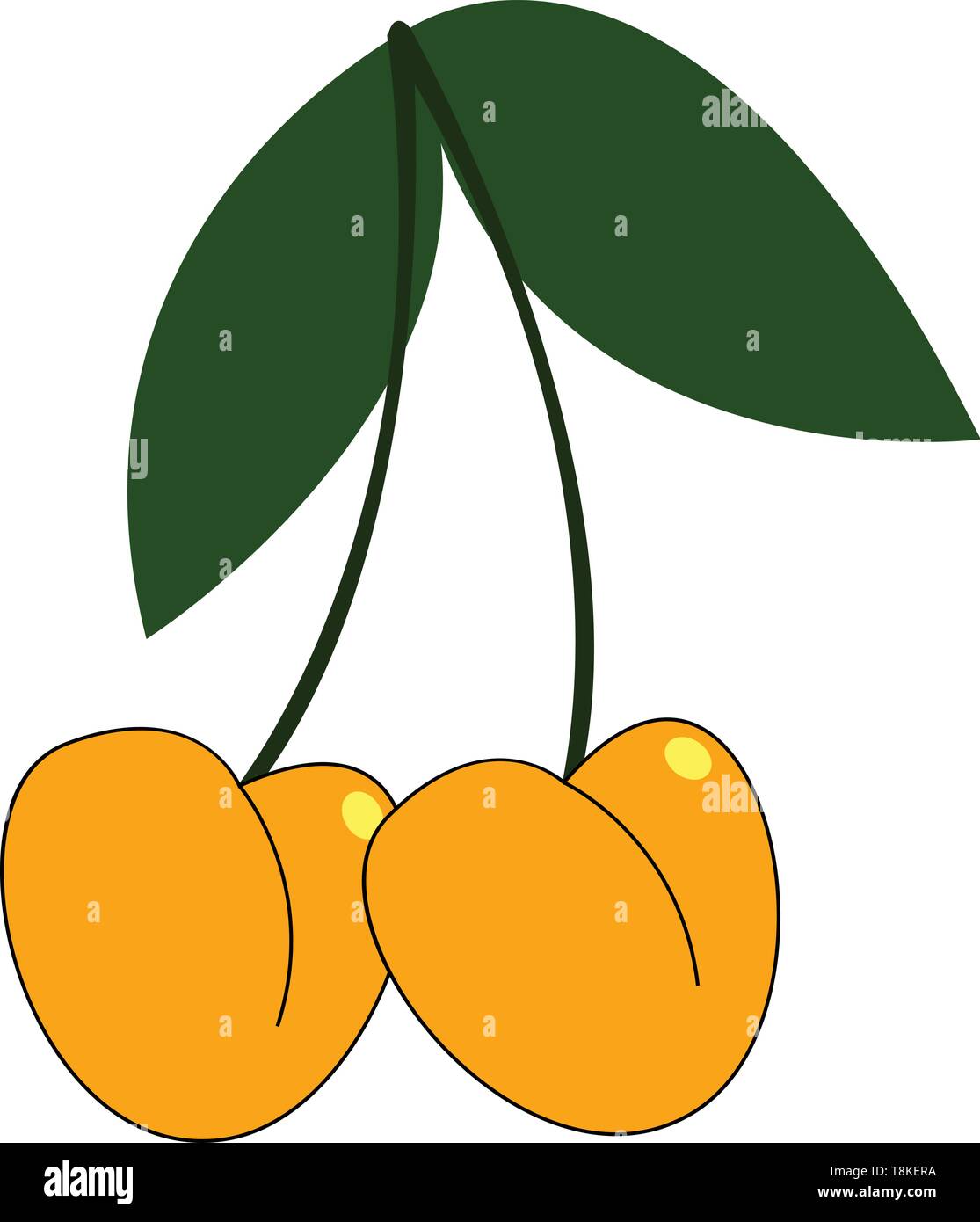 Clipart of two hanging yellow cherries with two oval-shaped leaves on their long and slender stalk, vector, color drawing or illustration. Stock Vector