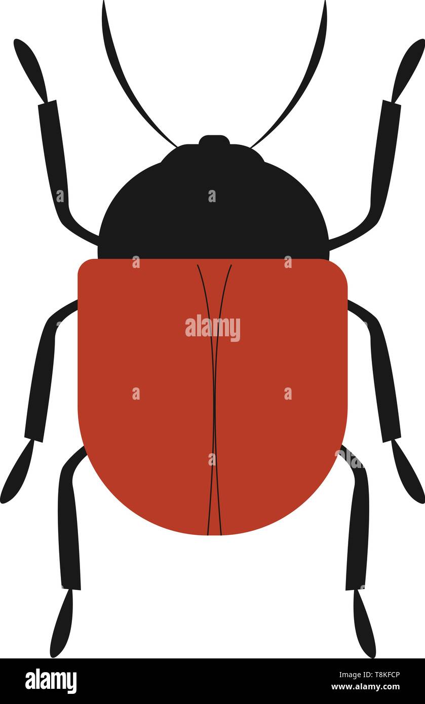 It is an insect having biting mouth-parts, with a hard covering to its body. , vector, color drawing or illustration. Stock Vector