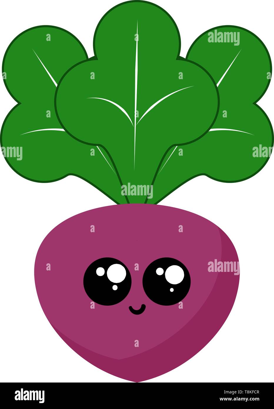 It is the round dark red root of a vegetable and widely cultivated for human consumption. It is cooked and also eaten cold in salads., vector, color d Stock Vector