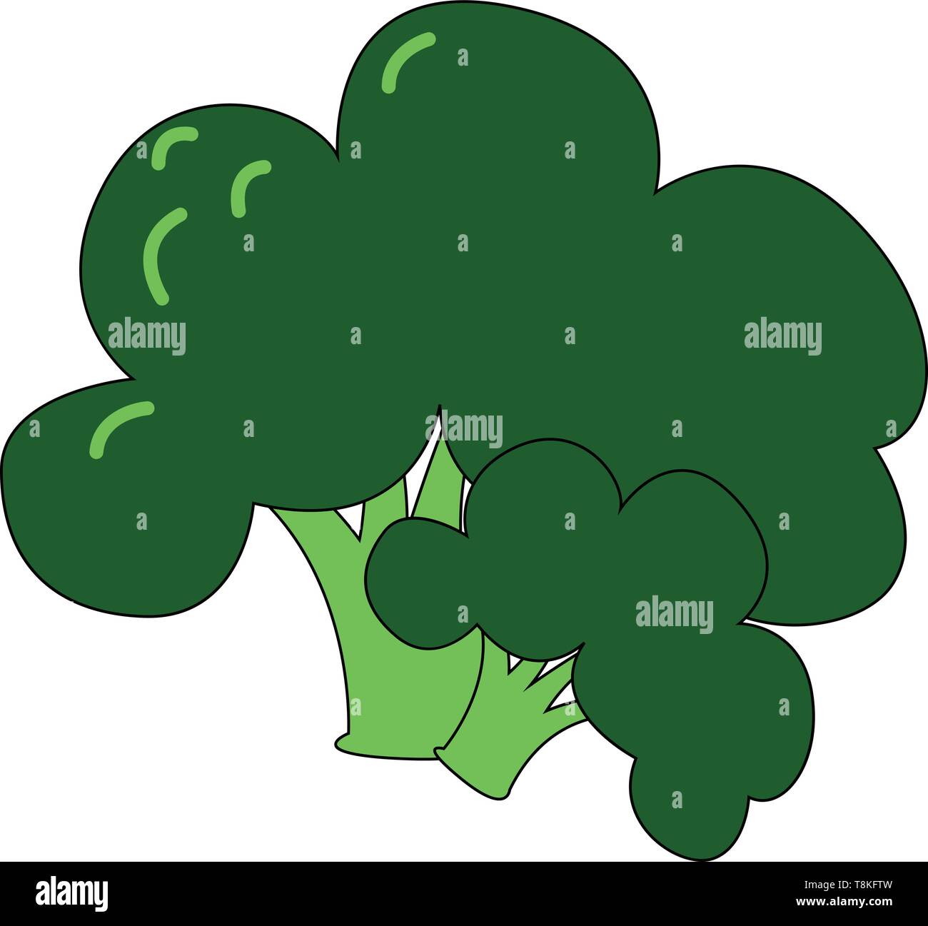Broccoli is a vegetable with dense cluster of tight green flower buds. There are several kinds of broccoli., vector, color drawing or illustration. Stock Vector