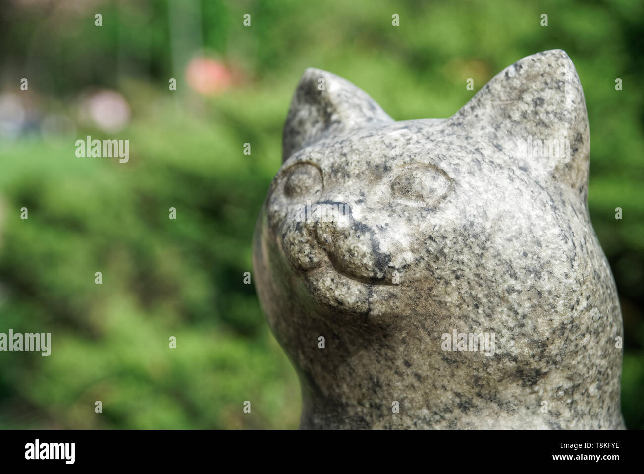 Cat statue from stone. Lucky rock cat head Stock Photo - Alamy