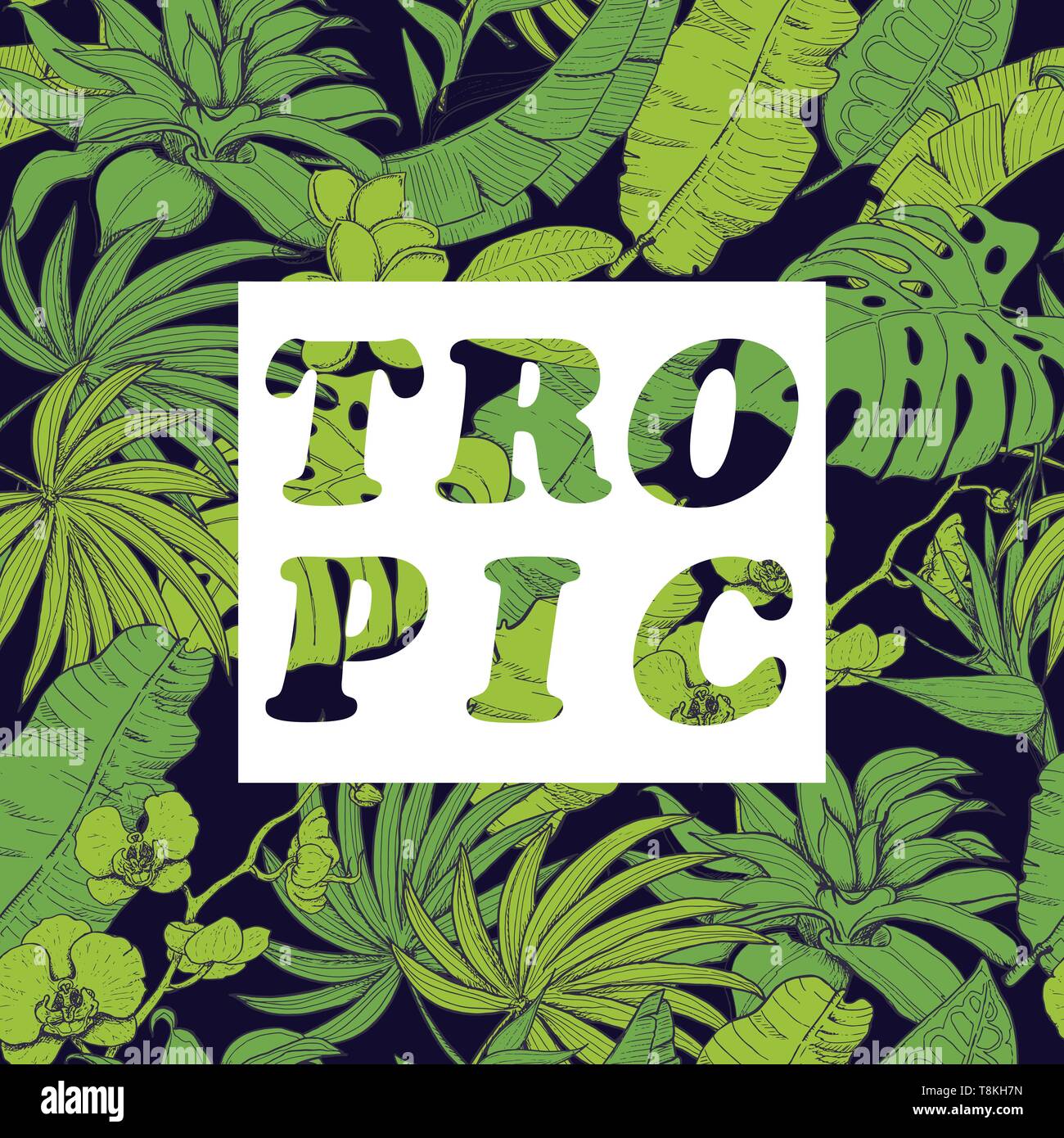Vector background with tropical plants and flowers on dark background ...