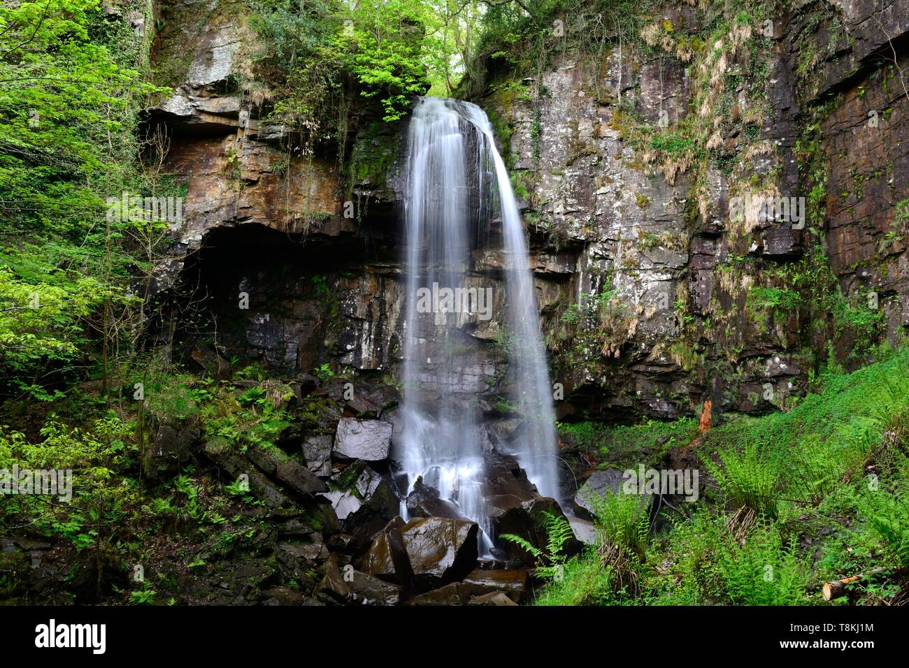 Melincourt Waterfall Resolven Neath in spring Stock Photo