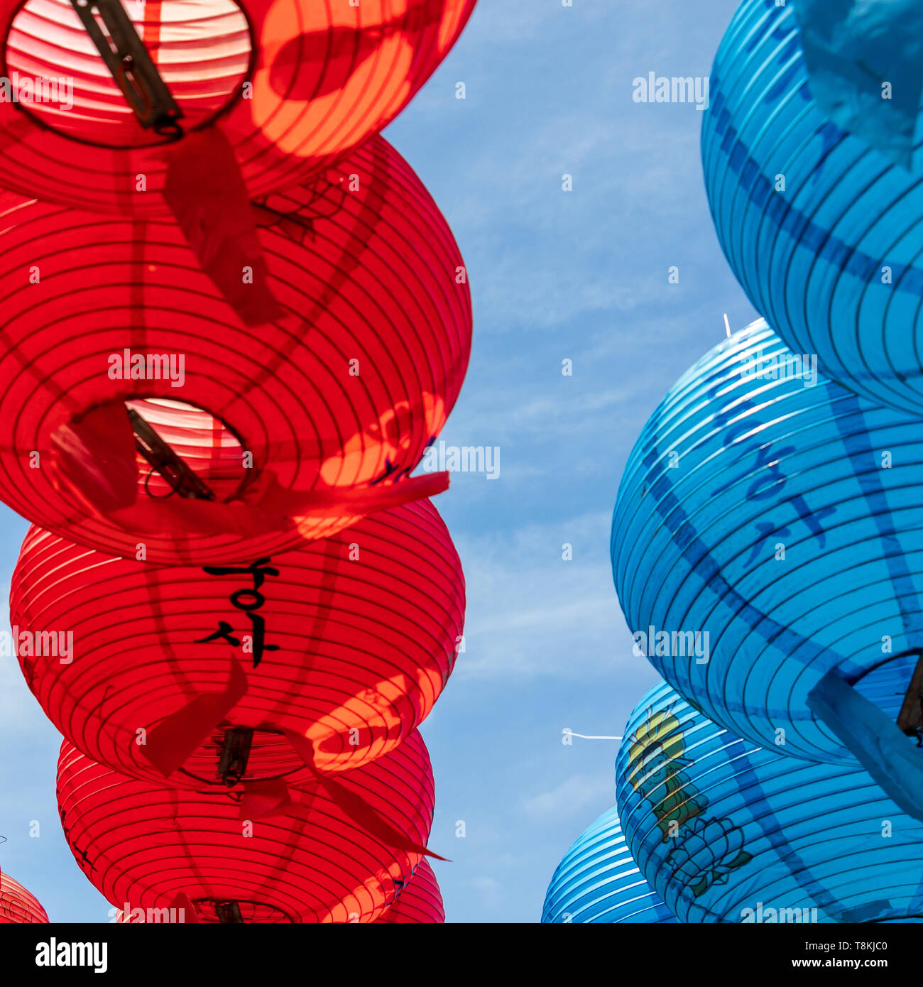 Lotus lantern festival lanterns hi-res stock photography and images - Alamy