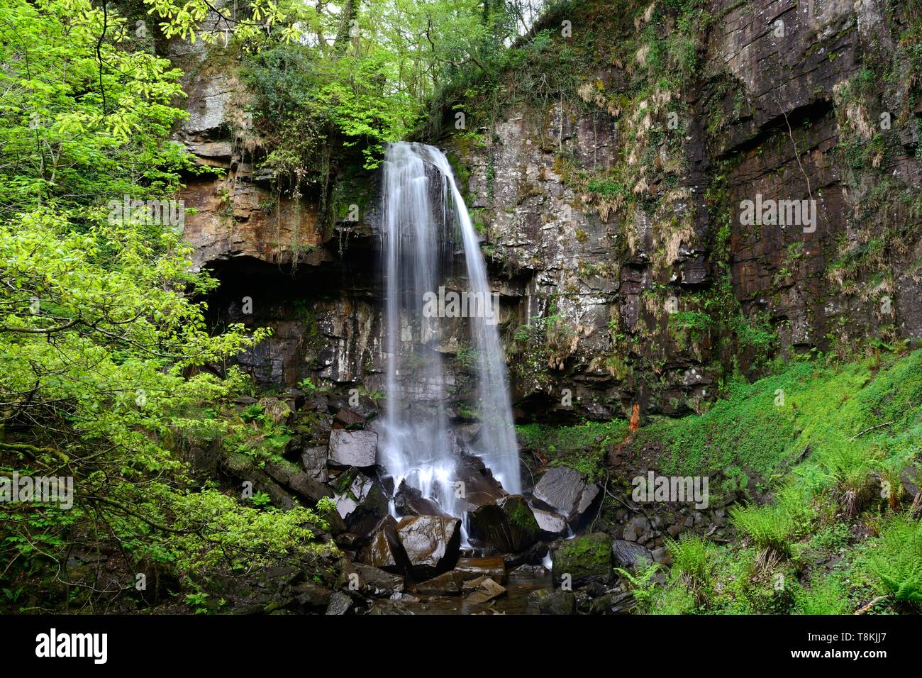 Melincourt Waterfall Resolven Neath in spring Stock Photo
