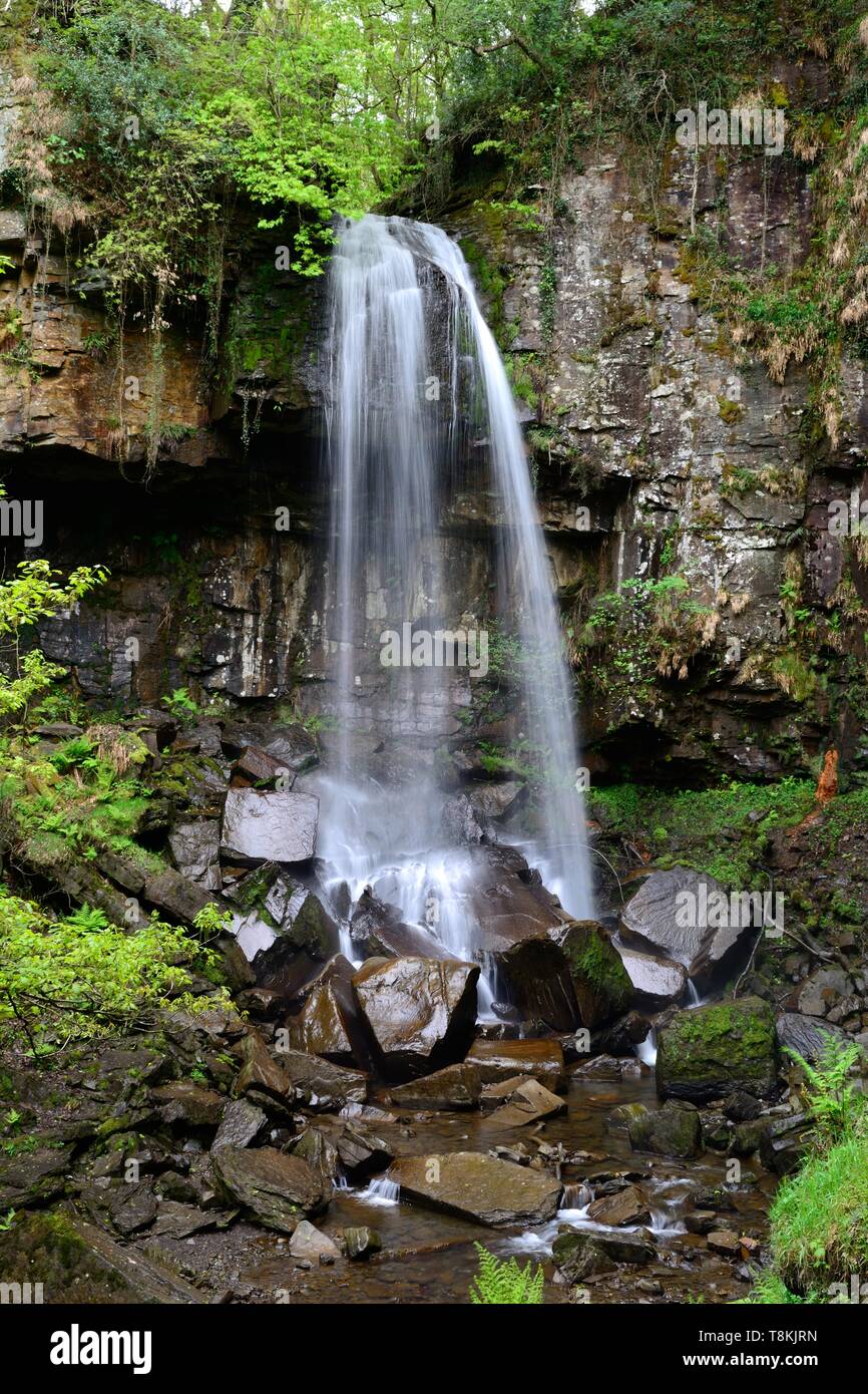 Melincourt Waterfall Resolven Neath in spring Stock Photo