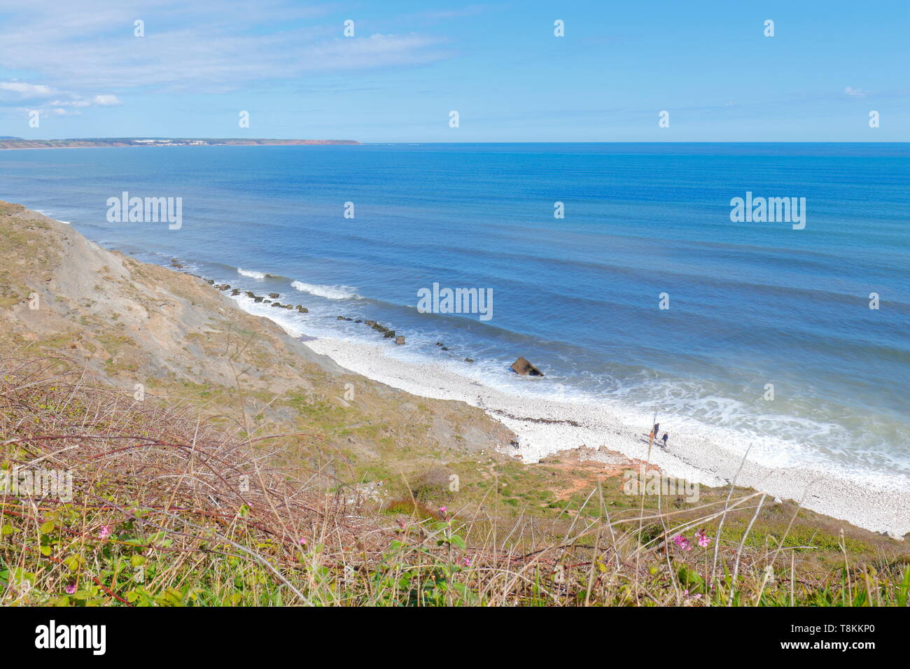 Reighton Sands on the Yorkshire Coast Stock Photo Alamy
