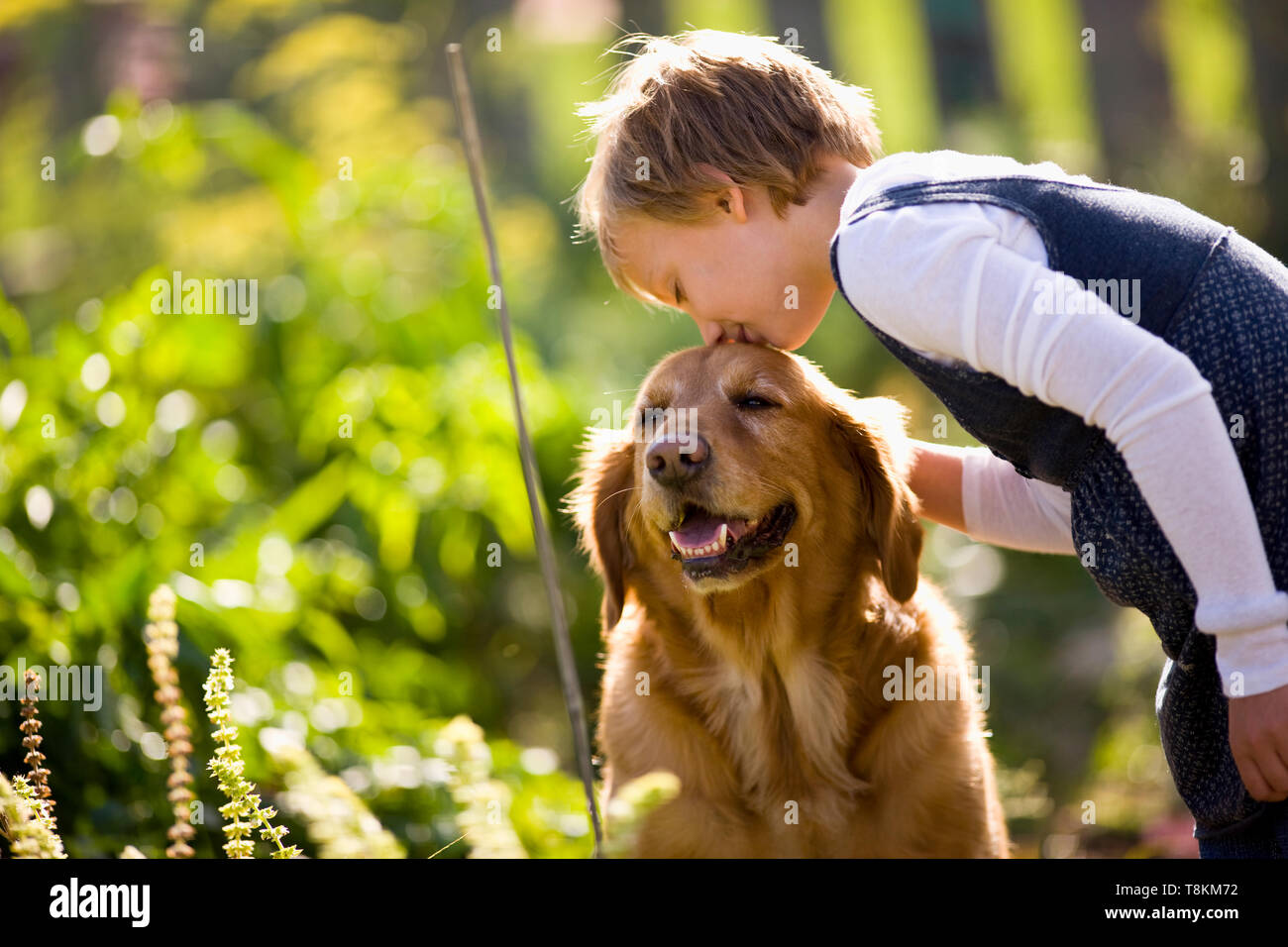 Can I Kiss My Dog On The Head