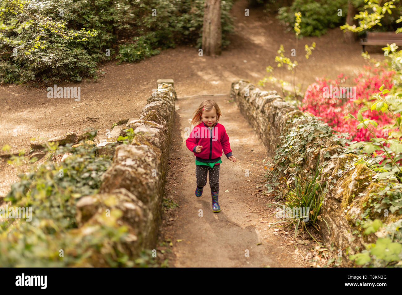 Colour portrait photograph of young girl exploring Branksome chine gardens at speed. Poole, Dorset, England. Stock Photo