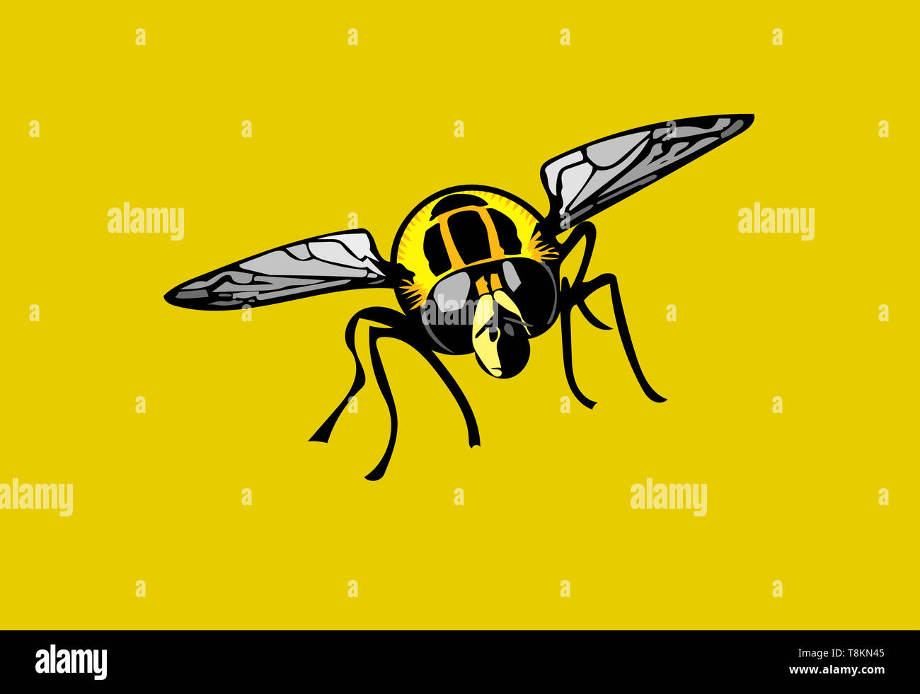 Isolated colour Illustration of Footballer hoverfly head-on on gold background. Stock Photo